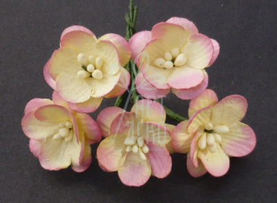 Квіти паперові Цвіт вишні, рожево-жовтий 2,5 см, 5 шт., Тайланд