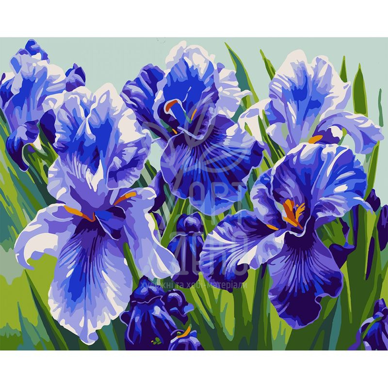 Набір для розпису за номерами "Блакитні іриси", 40х50 см, Santi