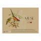 Альбом для малювання MUSE, спіраль, А4 (21х29,7 см), 150 г/м2, 30 л., Школярик