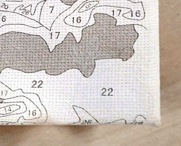 Набір для розпису за номерами Заміський будинок "Назустріч пригодам", 40х50 см, Ідейка