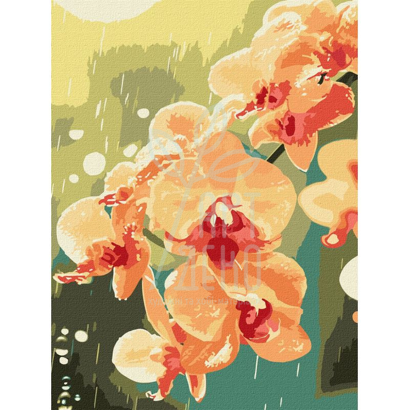 Набір для розпису за номерами "Орхідея в краплях", 30х40 см, Ідейка
