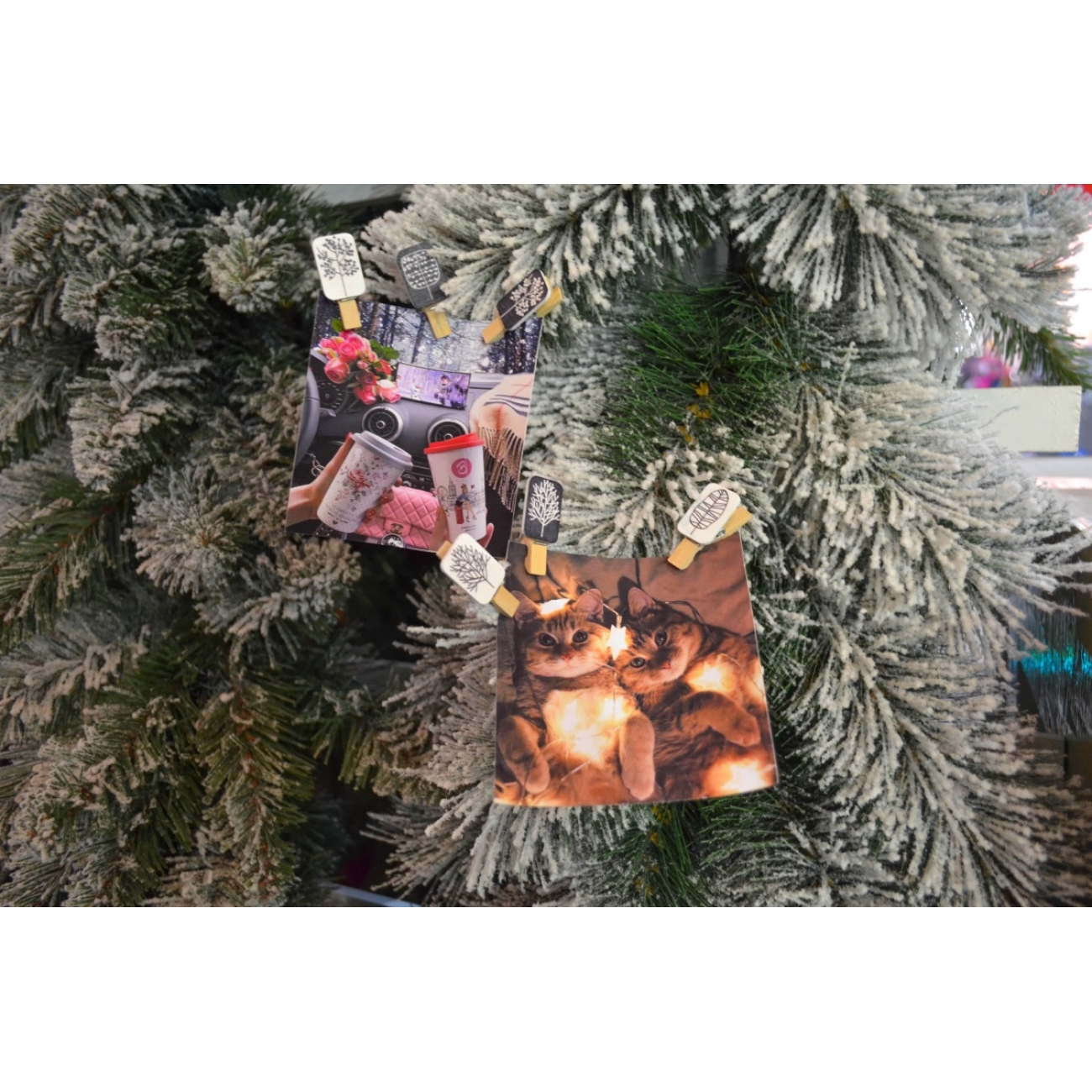 Набір прищіпок декоративних дерев'яних "Black and white", 3,5 см, 6 шт., Santi 