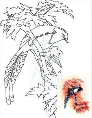 Полотно на картоні з контуром, Птахи №1, 30х40 см, бавовна, акрил, ТМ ''Етюд''