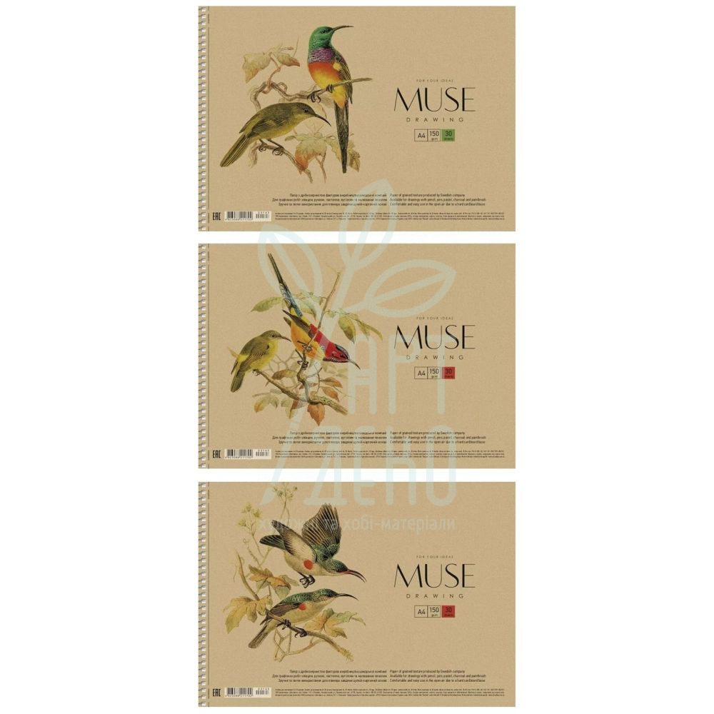 Альбом для малювання MUSE, спіраль, А4 (21х29,7 см), 150 г/м2, 30 л., Школярик