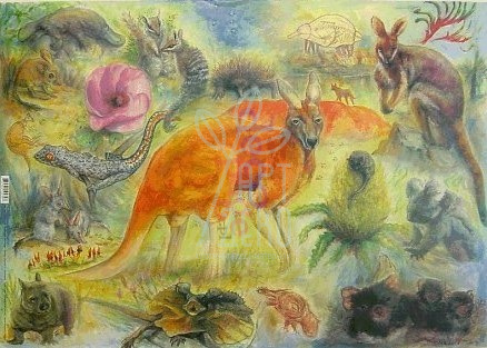 Папір для декупажу "Австралійський калейдоскоп" від Бренди В.Норсіст, 50х70 см, Finmark