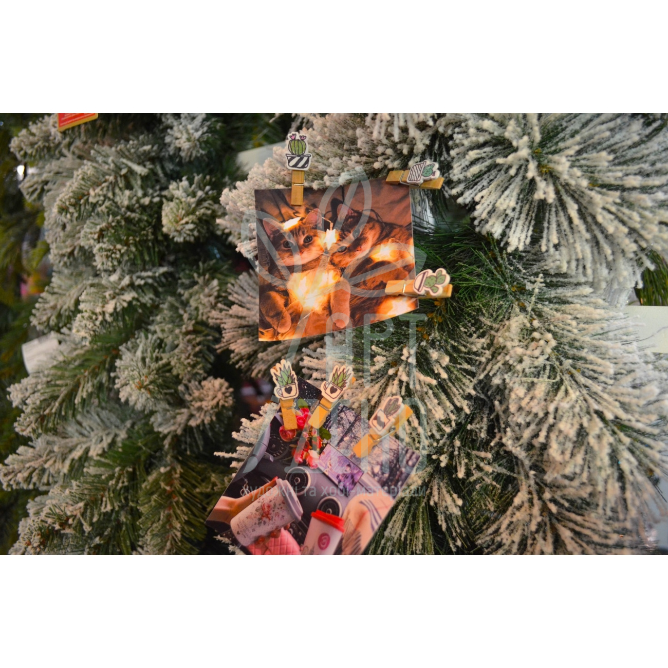 Набір прищіпок декоративних дерев'яних "Fashion cacti", 3,5 см, 6 шт., Santi