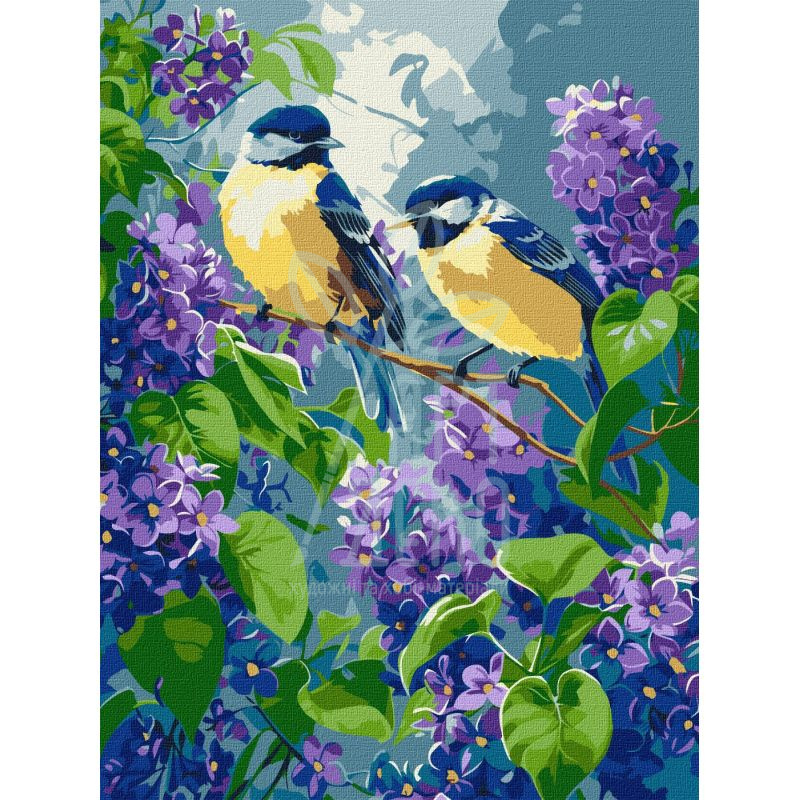 Набір для розпису за номерами "Весняний дует", 30х40 см, Ідейка