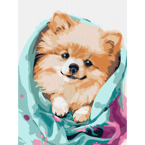 Набір для розпису за номерами "Щасливий шпіц", 30х40 см, Ідейка