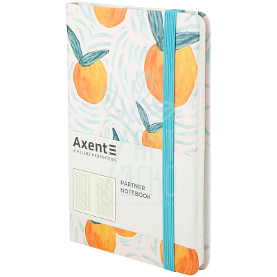 Книга записна Partner BBH Orange, 125х195 см, в клітинку, 96 л., Axent