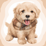 Набір для розпису за номерами "Пухнасте щеня", 40х40 см, Ідейка