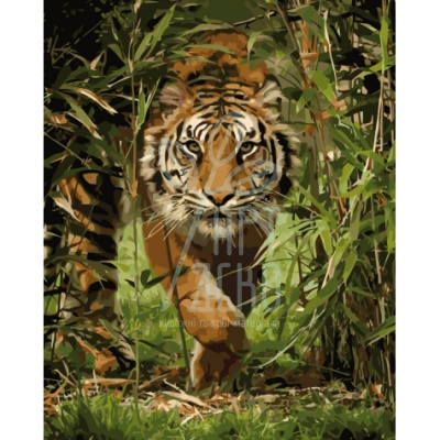 Набір для розпису за номерами Тварини, птахи "Король джунглів", 40х50 см, Ідейка