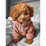 Набір для розпису за номерами "Чарівний мальтіпу", 30х40 см, Ідейка