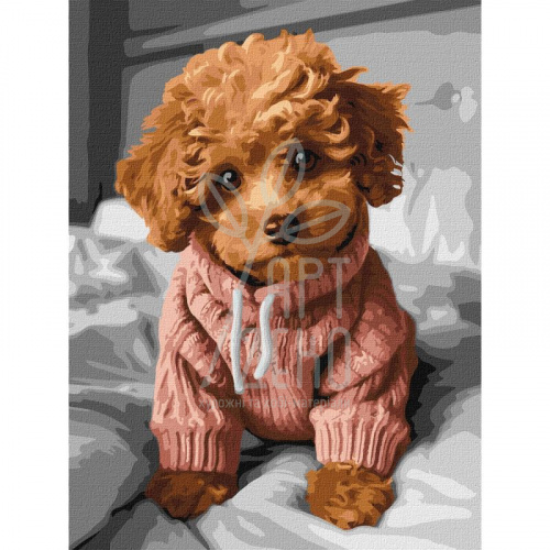 Набір для розпису за номерами "Чарівний мальтіпу", 30х40 см, Ідейка