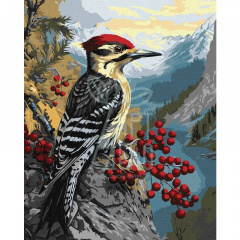 Набір для розпису за номерами "Дятел на калині", 40х50 см, Ідейка