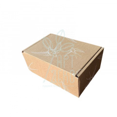 Коробка подарункова, гофрокартон "Ластівки", 24х17х10 см, крафт, Україна