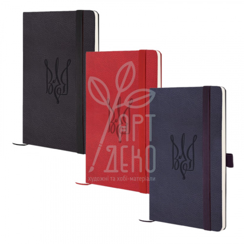 Книга записна Partner Soft Skin "Воля", клітинка, 12,5х19,5 см, 96 л., Axent