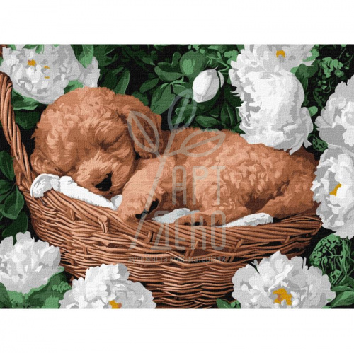 Набір для розпису за номерами "Сплячий пудель", 30х40 см, Ідейка