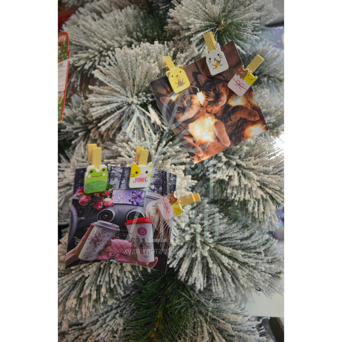 Набір прищіпок декоративних дерев'яних "Cute animals", 3,5 см, 6 шт., Santi