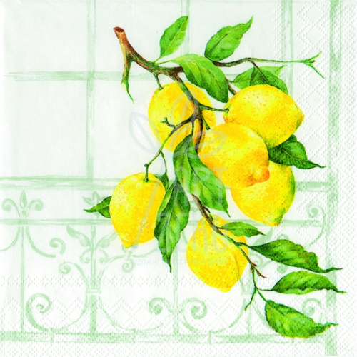 Серветка для декупажу "Гілка лимонного дерева" білий, 33х33 см, Німеччина