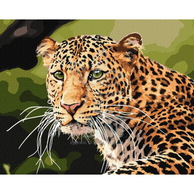 Набір для розпису за номерами "Зеленоокий леопард", 40х50 см, Ідейка