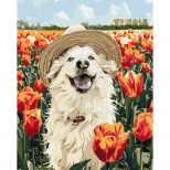 Набір для розпису за номерами "Щасливий лабрадор", 40х50 см, Ідейка