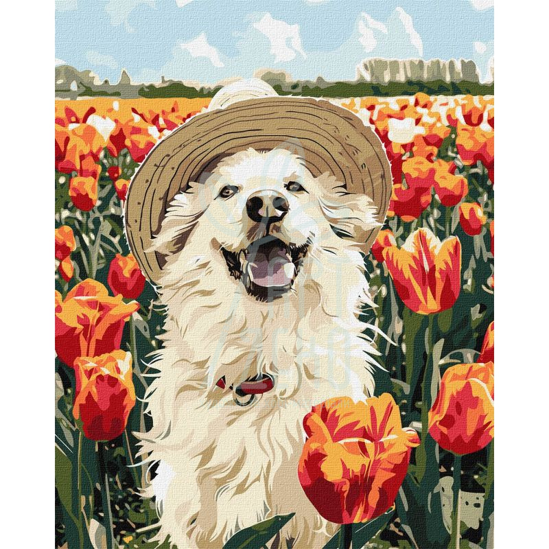 Набір для розпису за номерами "Щасливий лабрадор", 40х50 см, Ідейка