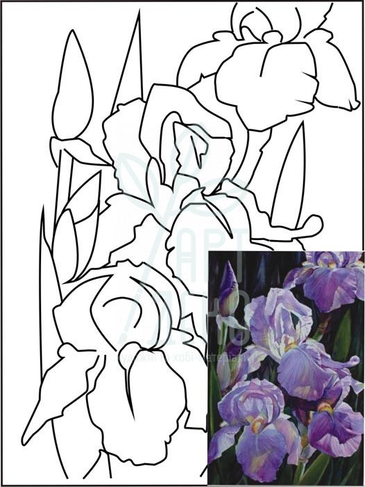 Полотно на картоні з контуром Натюрморт №10, 30х40 см, бавовна, акрил, ROSA Start