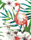 Набір для розпису за номерами "Тропічна птаха", 35х45 см, ROSA START