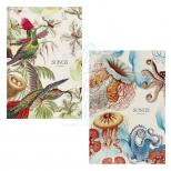 Зошит для записів MonAmi, В5 (17,6х25 см), Soft Touch обкладинка, лінійка, 70 г/м2, 80 л., Школярик