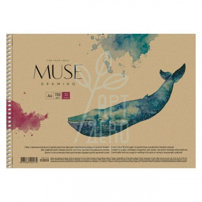 Альбом для малювання MUSE, спіраль, А4 (21х29,7 см), 150 г/м2, 30 л., Школярик