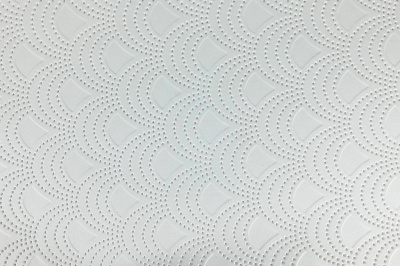 Папір текстурований тиснений "Орнамент 6", білий, 21х30 см, Україна