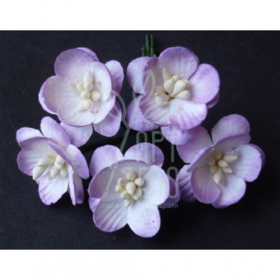 Квіти паперові Цвіт вишні, фіолетово-білий, 2,5 см, 5 шт., Тайланд
