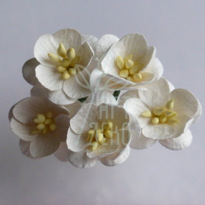 Квіти паперові Цвіт вишні, бежевий, 2,5 см, 5 шт., Тайланд