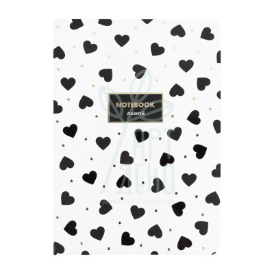 Книга записна Black&White, клітинка, А5 (14,8х21 см), 80 л., Axent