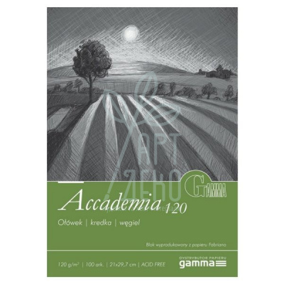 Альбом для малювання Gamma Accademia 120, на спіралі, А4 (21х29,7 см), 120 г/м2, 100 л., Польща Альбом для малювання Gamma Accademia 120, на спіралі, А4 (21х29,7 см), 120 г/м2, 100 л., Польща