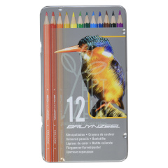 Набір олівців кольорових Bird, в металевій коробці, 12 шт, Bruynzeel