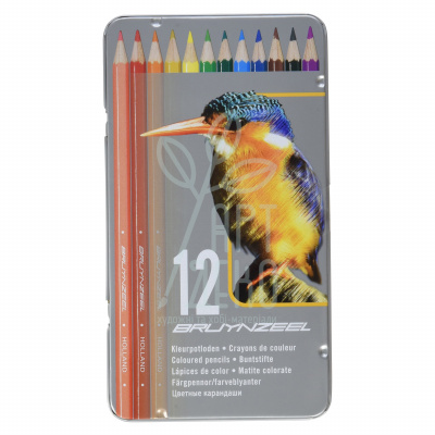 Набір олівців кольорових Bird, в металевій коробці, 12 шт, Bruynzeel