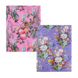 Папка пластикова на гумках Olga Selyshcheva, А4+ (21,5х30,5 см), Axent