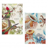 Зошит для записів MonAmi, В5 (17,6х25 см), Soft Touch обкладинка, клітинка, 70 г/м2, 80 л., Школярик