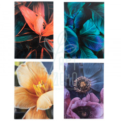 Книга записна Flora, клітинка, А4 (21х29,7 см), 192 л., Axent