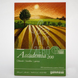 Склейка для малювання Gamma Accademia 200, 16х22,5 см, 200 г/м2, 40 л., Польща
