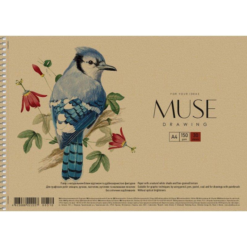 Альбом для малювання MUSE, спіраль, А4 (21х29,7 см), 30 л., Школярик