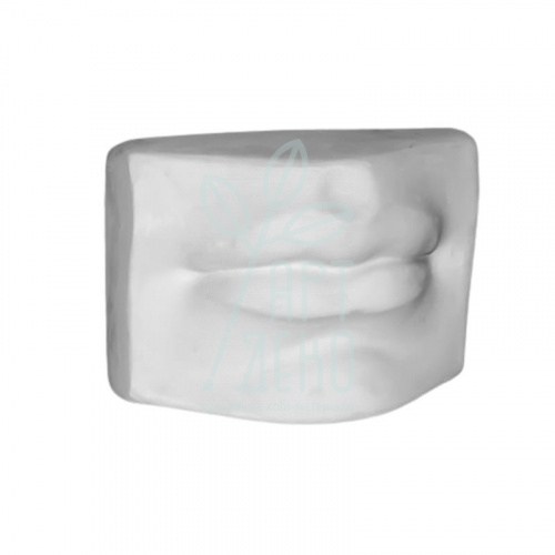 Гіпсова фігура "Губи Давида", 16х12х9 см, Україна