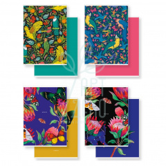 Набір зошитів Twin Book, А5 (14,8х21 см), 2 шт, клітинка/без лініювання, 40 л., Школярик