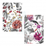 Зошит для записів MonAmi, В5 (17,6х25 см), Soft Touch обкладинка, лінійка, 70 г/м2, 80 л., Школярик