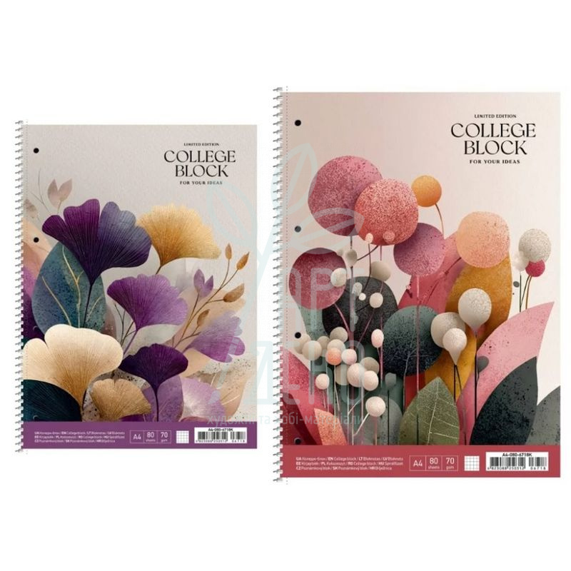 Коледж-блок Student, спiраль, А4+, ламінація, кремовий блок, клітинка, 70 г/м2, 80 л, Школярик