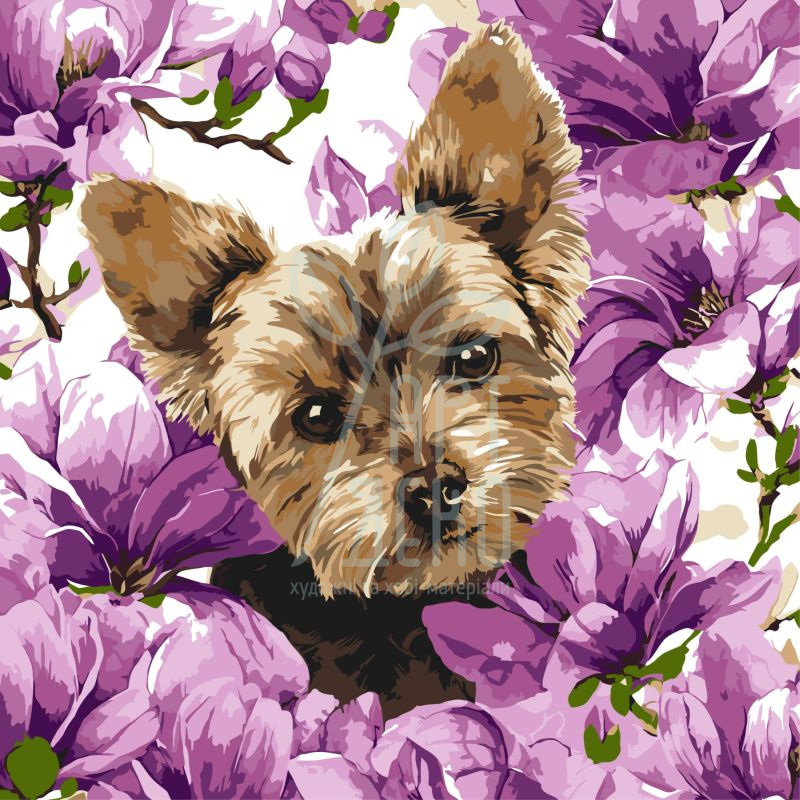 Набір для розпису за номерами "Йорк в магнолії", 40х40 см, Ідейка