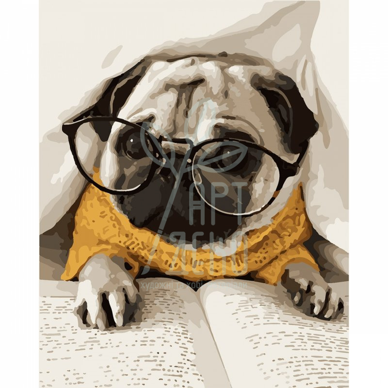 Набір для розпису за номерами "Мопс в окулярах", 40х50 см, Santi