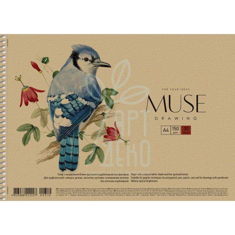 Альбом для малювання MUSE, спіраль, А4 (21х29,7 см), 30 л., Школярик