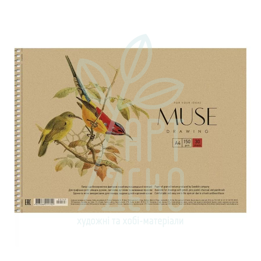 Альбом для малювання MUSE, спіраль, А4 (21х29,7 см), 150 г/м2, 30 л., Школярик